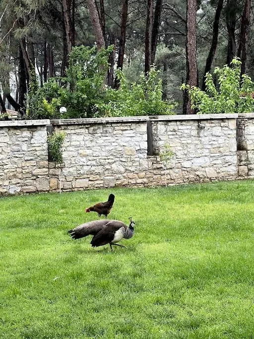 Ultra Luex Tarihi Villa Yenice   Yenice (Menderes)
