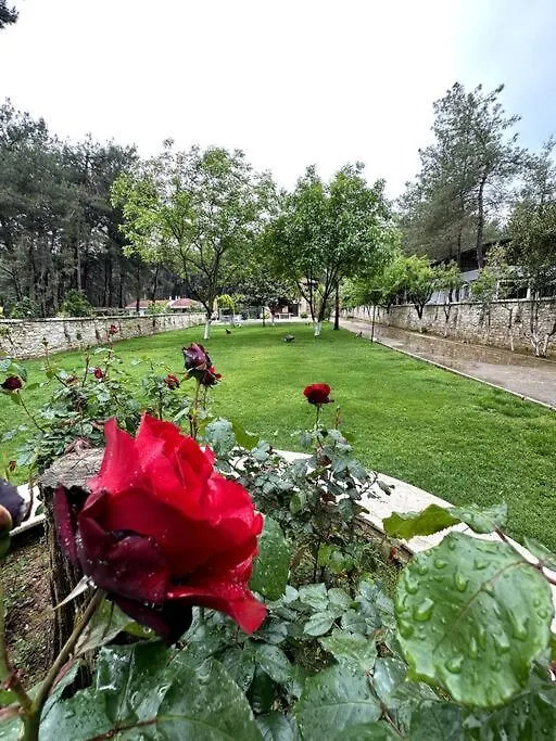 Ultra Luex Tarihi Villa Yenice  Yenice (Menderes)