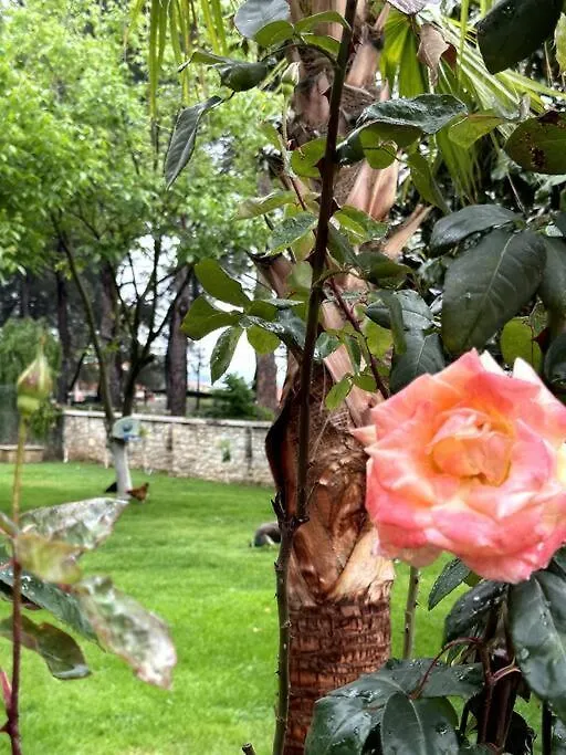 Ultra Luex Tarihi Villa Yenice